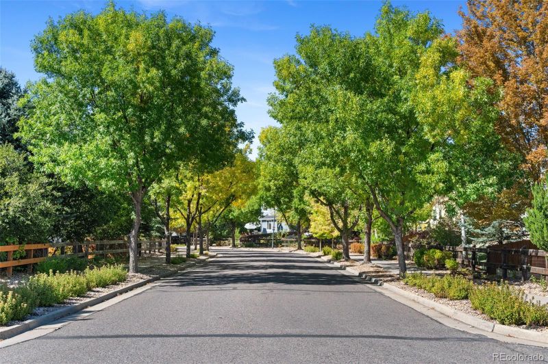 11352 Leyden St, Thornton, CO 80233