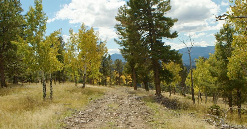 12434 S Us Hwy 285, Conifer, CO 80433