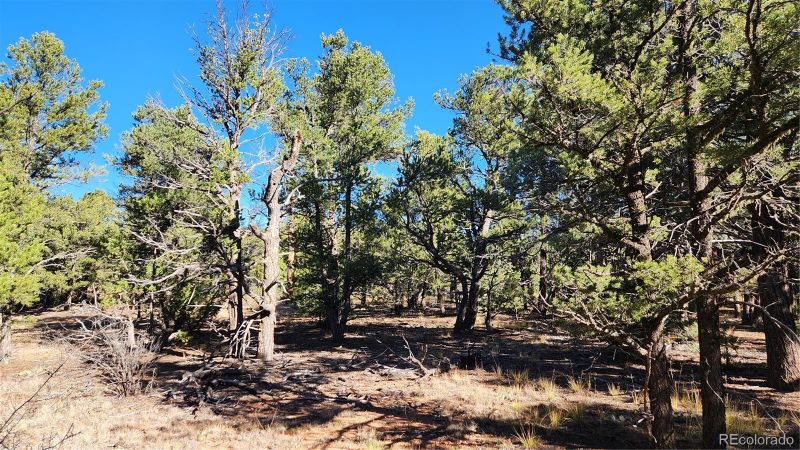 1238 17th Trl, Cotopaxi, CO 81223