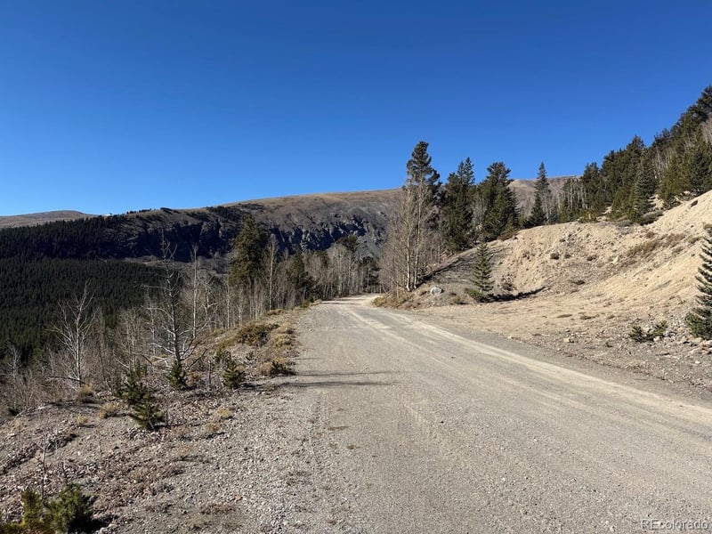 0 County Road 787, Alma, CO 80420