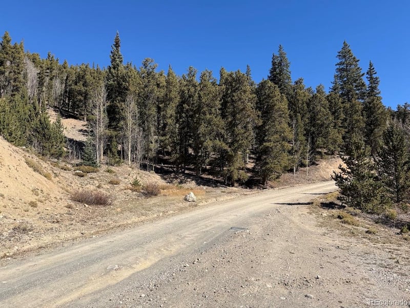 0 County Road 787, Alma, CO 80420