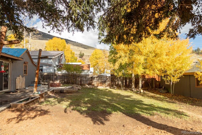 102 E 4th Ave, Creede, CO 81130