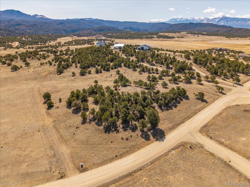 10246 Rawhide Creek Rd, Nathrop, CO 81236