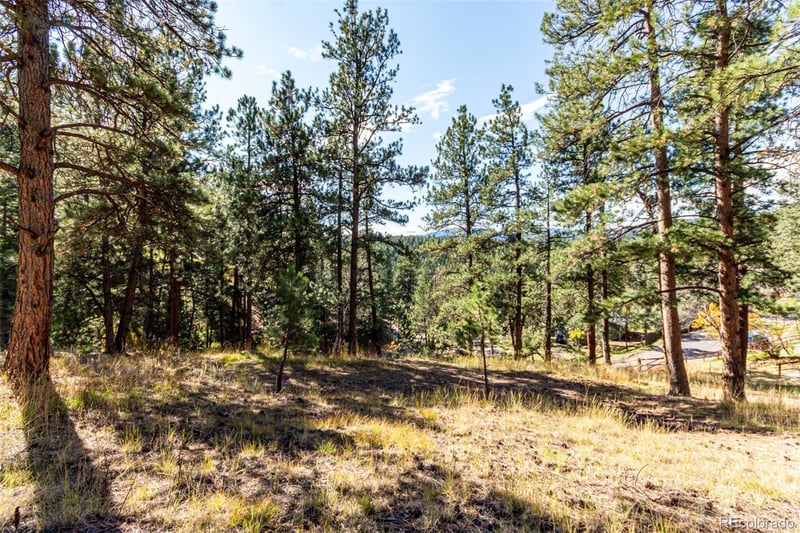 27406 Mountain Park Rd Lot 33, Evergreen, CO 80439