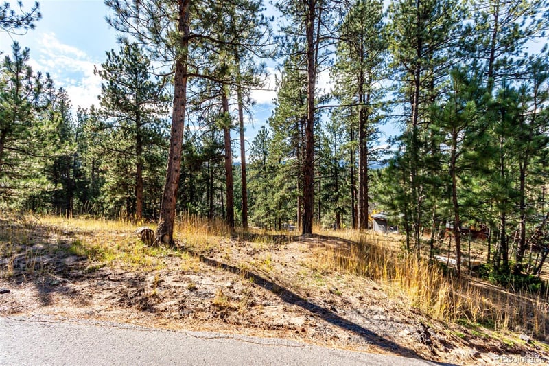 27406 Mountain Park Rd Lot 33, Evergreen, CO 80439