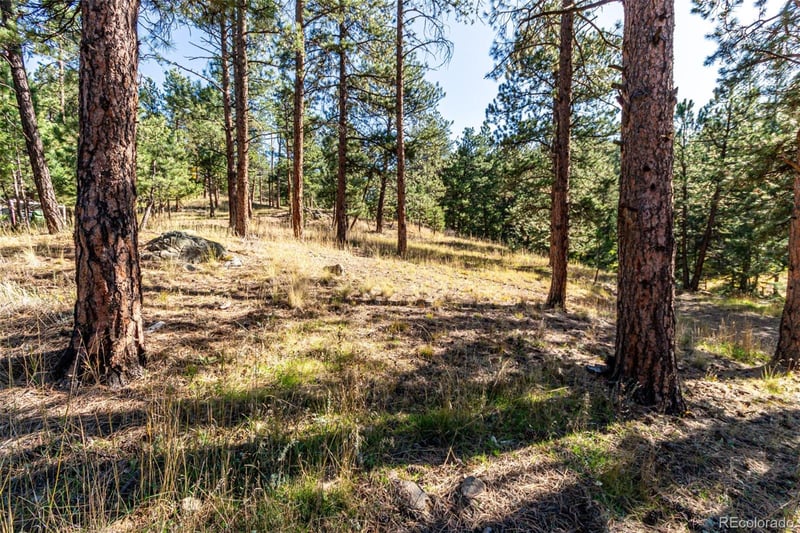 27406 Mountain Park Rd Lot 33, Evergreen, CO 80439