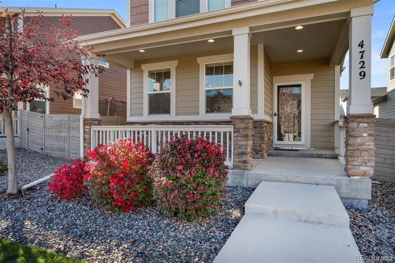4729 Idalia St, Denver, CO 80239