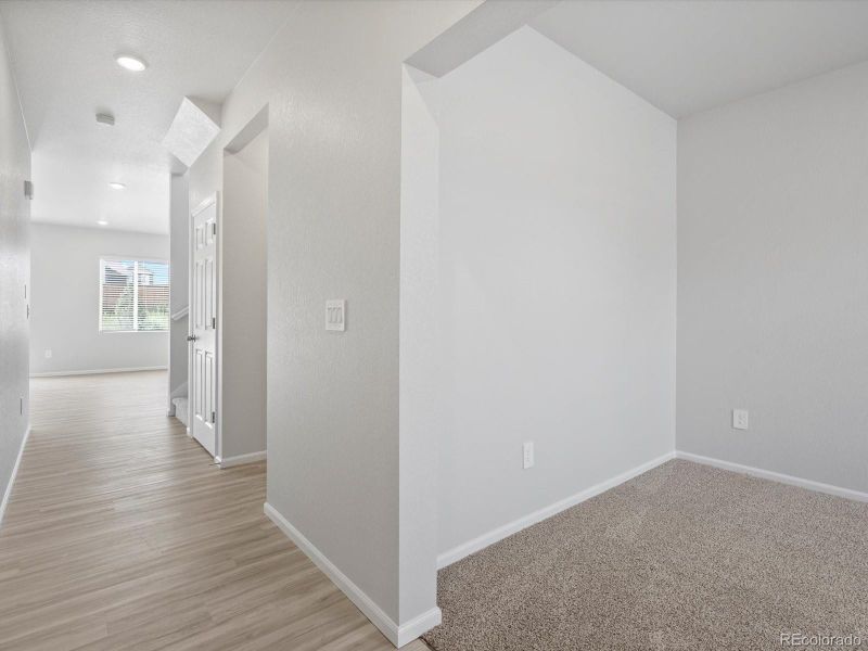 1134 Thunder Pass Rd, Severance, CO 80550