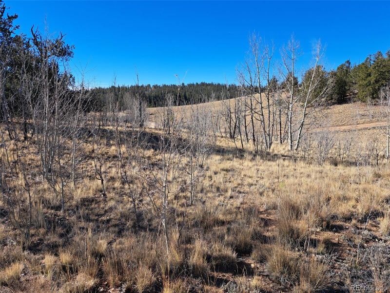 209 Crooked Rock Pa, Como, CO 80432