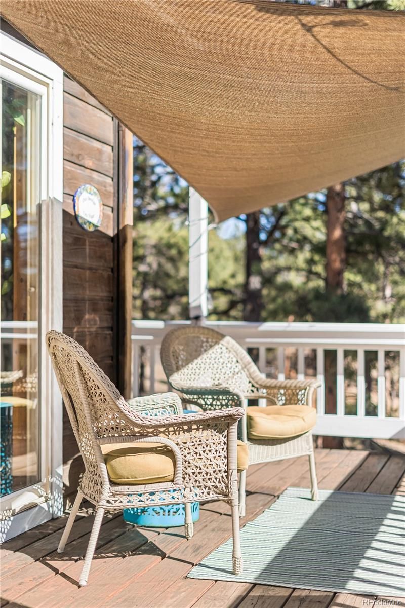 294 Kudu Trl, Bailey, CO 80421