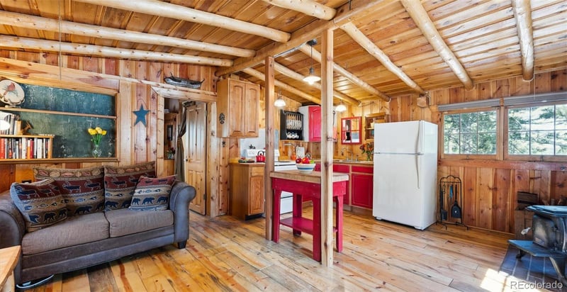 33885 La Plata Ln, Pine, CO 80470