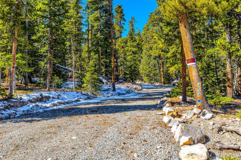 454 Dry Gulch Rd, Fairplay, CO 80440