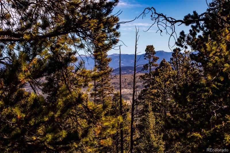 454 Dry Gulch Rd, Fairplay, CO 80440