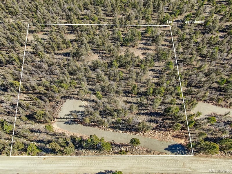 4538 Middle Fork Vi, Fairplay, CO 80440