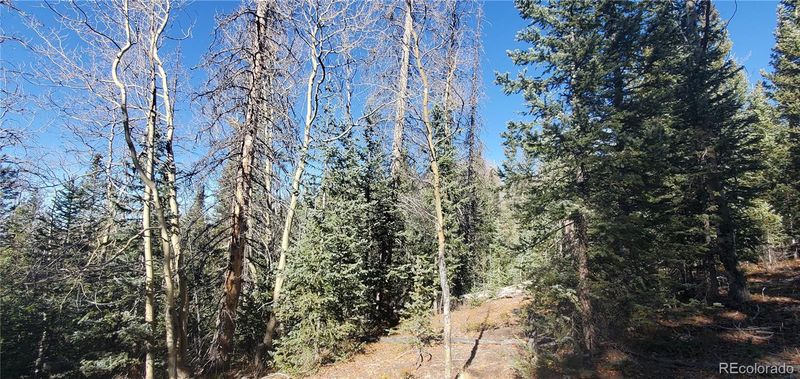 Lot 6581 Ackerman Rd Lot 6581, Fort Garland, CO 81133