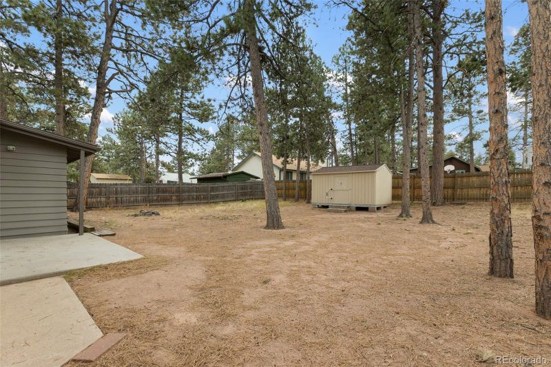 415 W Bowman, Woodland Park, CO 80863