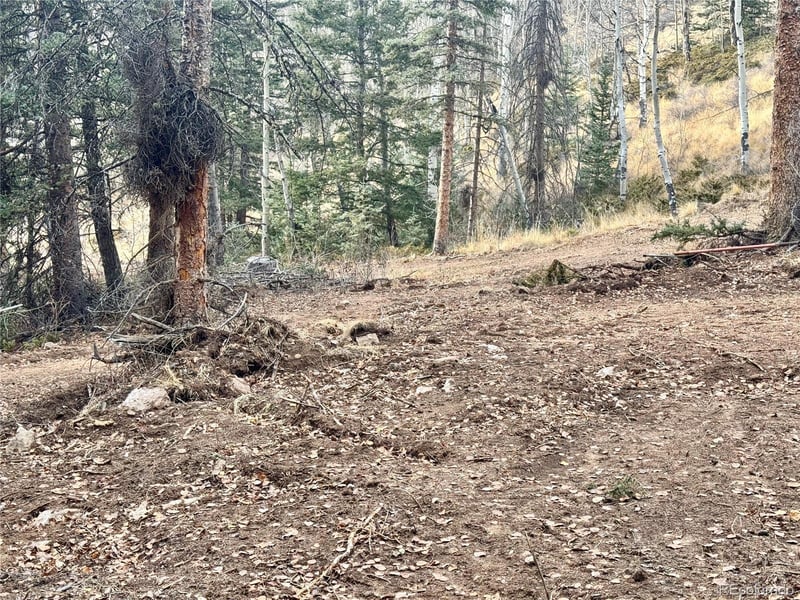 Ryland Rd, San Luis, CO 81152