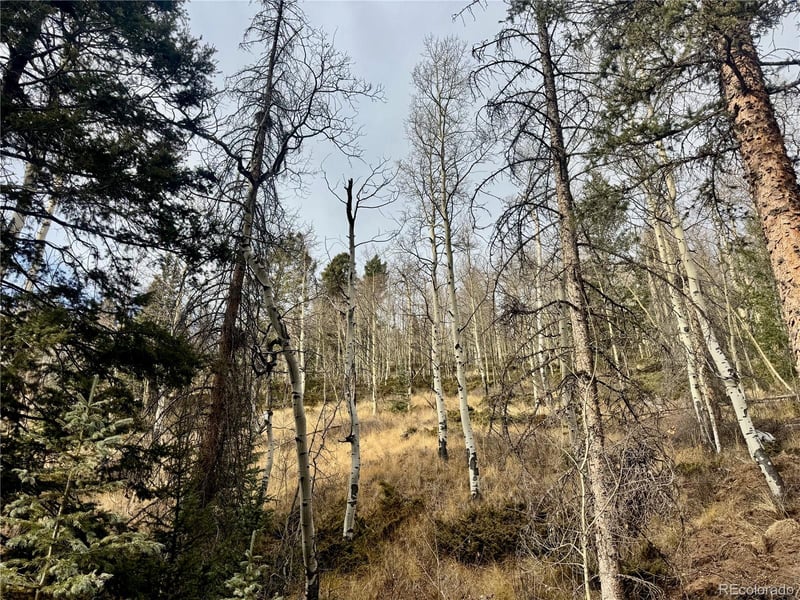 Ryland Rd, San Luis, CO 81152