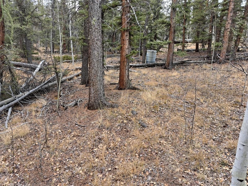210 Tepee Trl, Como, CO 80432