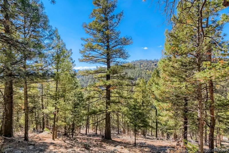 Elsie Rd, Conifer, CO 80433