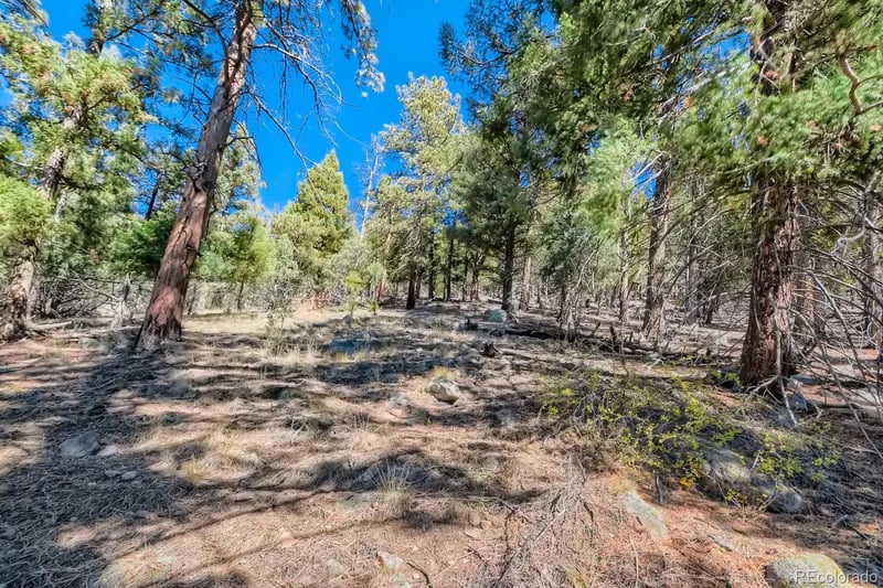 Elsie Rd, Conifer, CO 80433