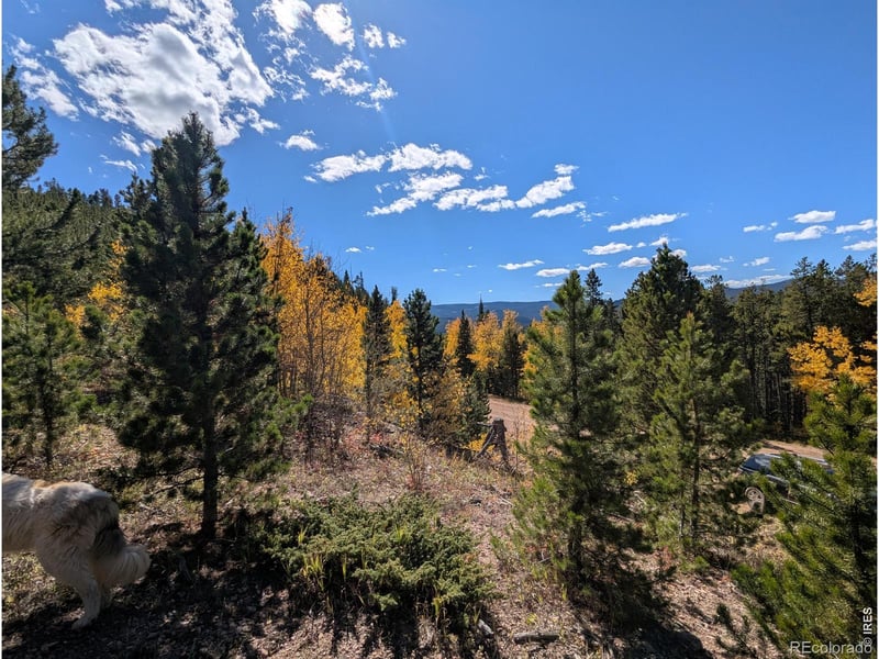 0 Bear Gulch Rd, Red Feather Lakes, CO 80545