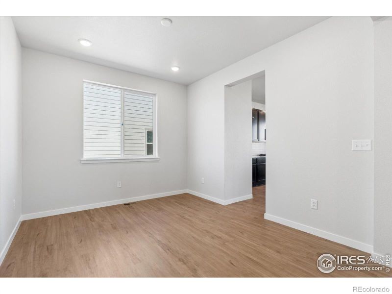 866 Mesic Ln, Windsor, CO 80550