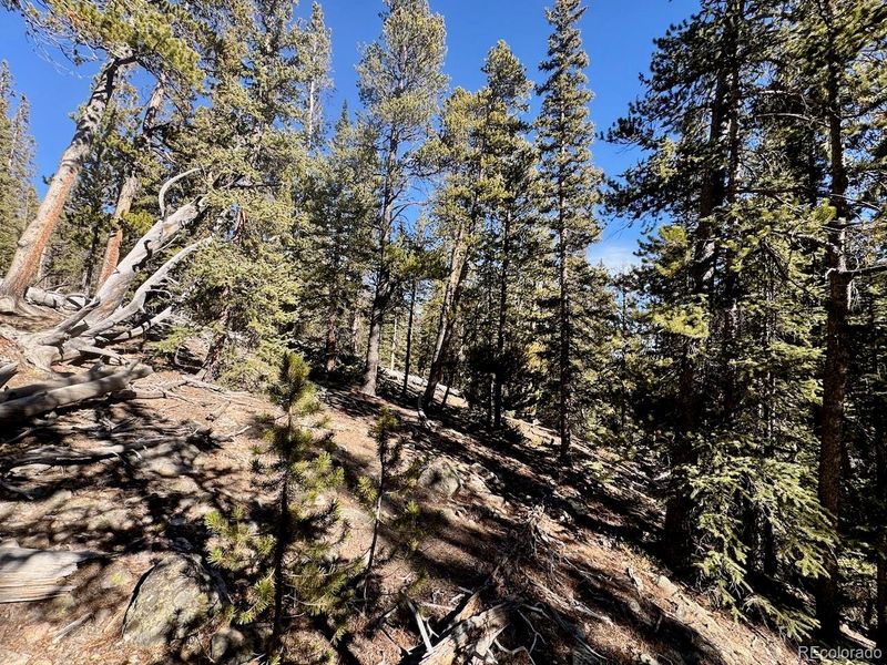 352 Puma Pl Lot 609, Fairplay, CO 80440