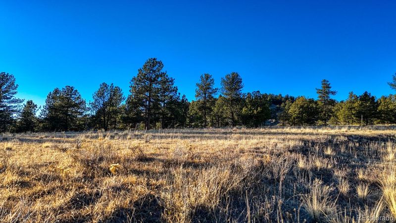 2550 Southpark Rd, Florissant, CO 80816
