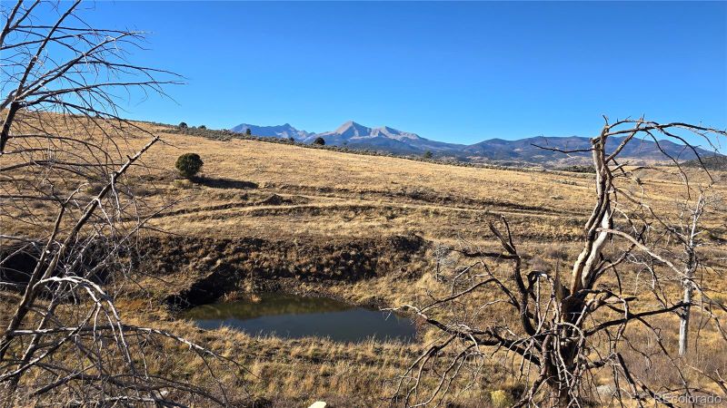 7741 Van Giesen Rd, Fort Garland, CO 81133