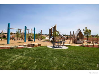 754 Trumpet Ct, Windsor, CO 80550
