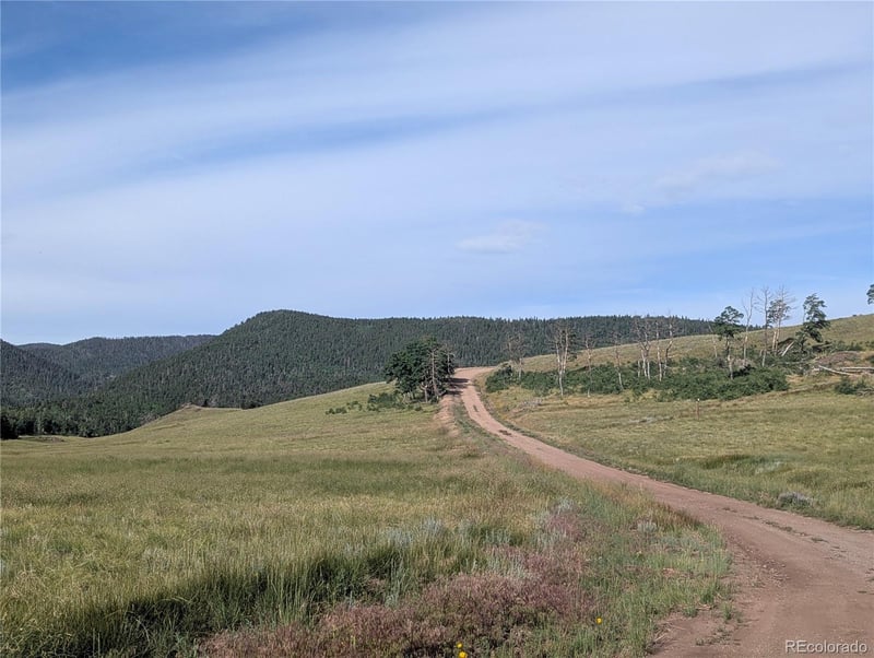 910 Ueda Pl, Fort Garland, CO 81133