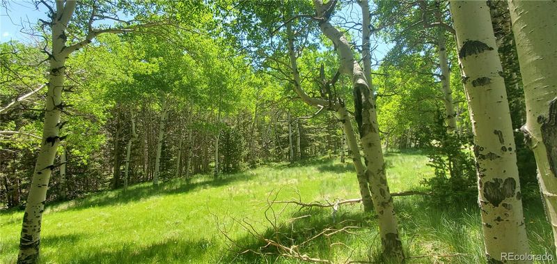 Lot 3085 Henderson Ln Lot 3085, Fort Garland, CO 81133