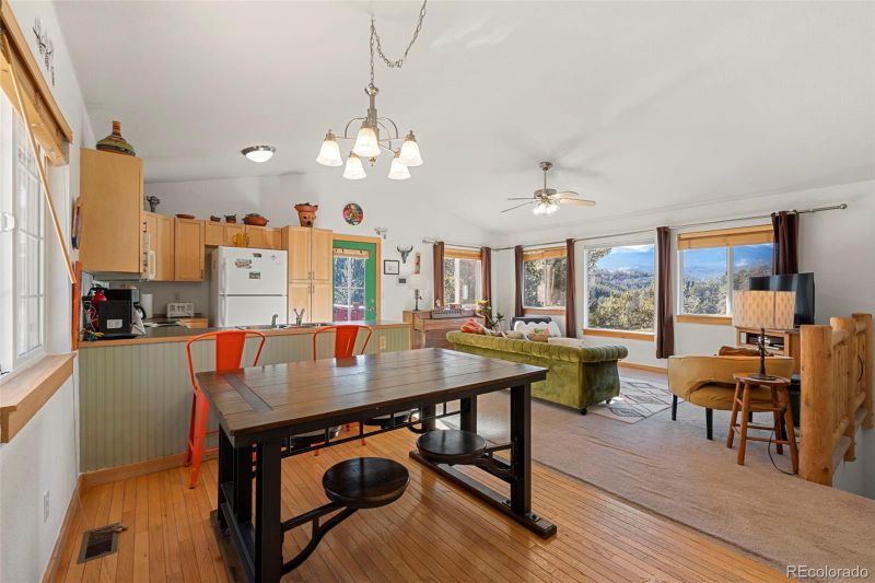 114 Hall Rd, Bailey, CO 80421