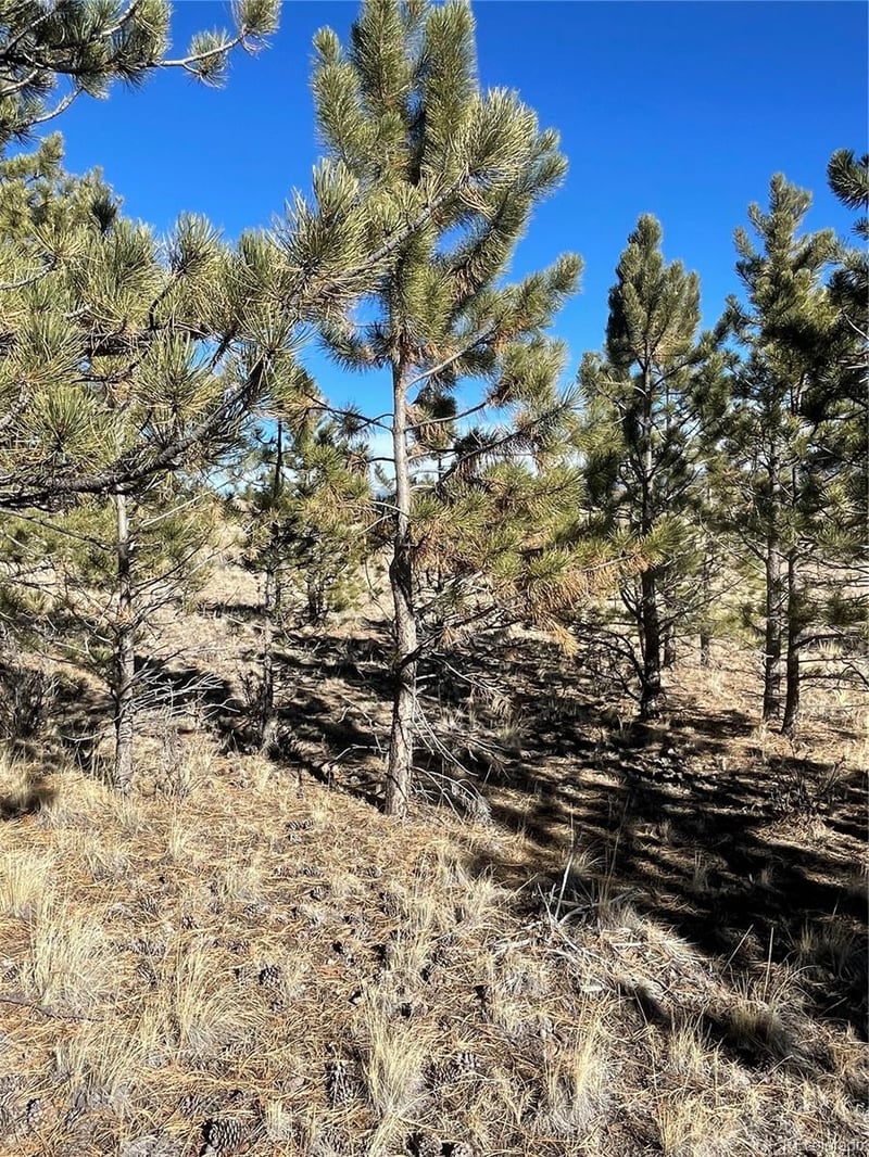 00 Oak St, Hartsel, CO 80449
