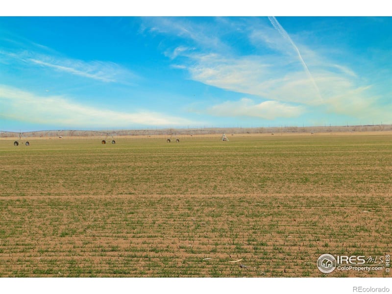 3699 County Road 5, Wiggins, CO 80654