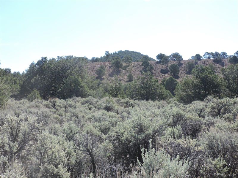 Lot 7563 Dolder Rd Lot 7563, Fort Garland, CO 81133