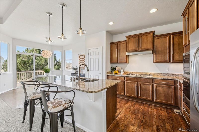 3878 Desert Ridge Cir, Castle Rock, CO 80108