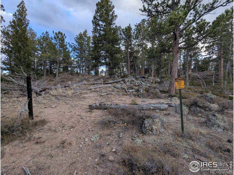 29 Santa Clara Ct, Red Feather Lakes, CO 80545