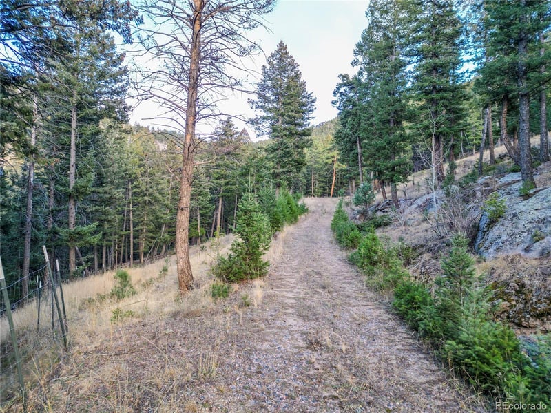 26779 Fern Gulch Rd, Evergreen, CO 80439