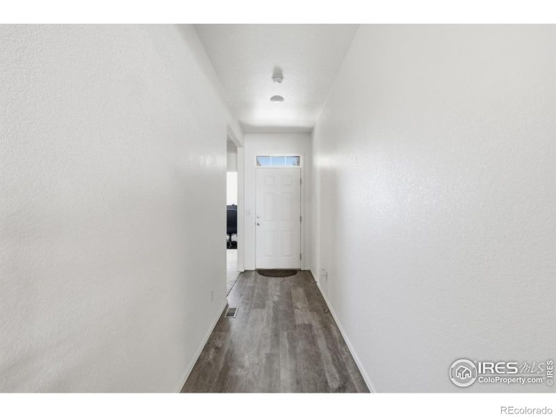 916 Birchdale Ct, Windsor, CO 80550
