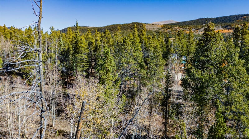 235 Willow Ln, Fairplay, CO 80440