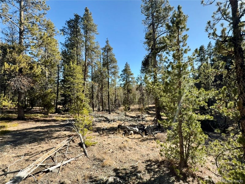235 Willow Ln, Fairplay, CO 80440