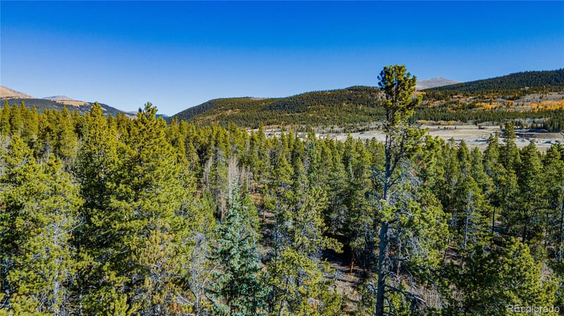 235 Willow Ln, Fairplay, CO 80440