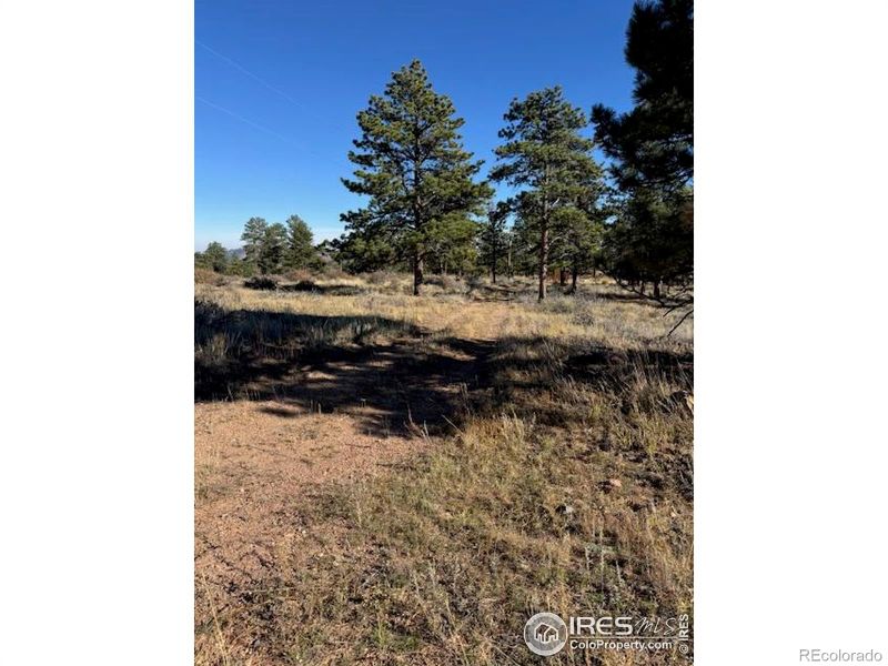 2225 Montcalm Dr, Livermore, CO 80536