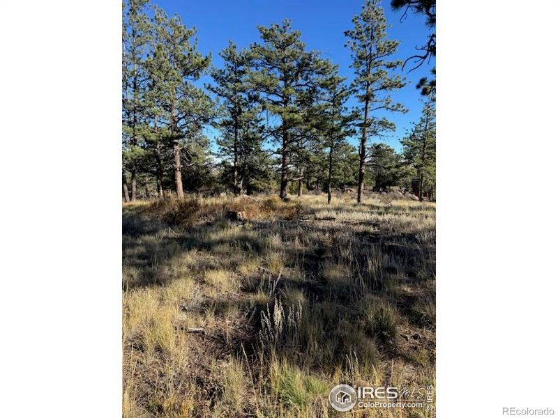 2225 Montcalm Dr, Livermore, CO 80536