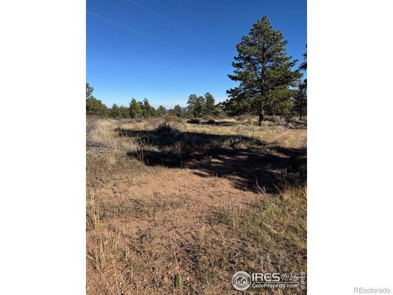 2225 Montcalm Dr, Livermore, CO 80536