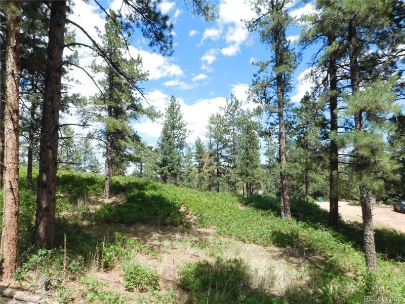 8055 Acoma Dr, Larkspur, CO 80118