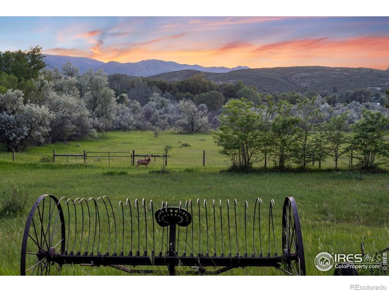 3317 Buckskin Trl, Laporte, CO 80535
