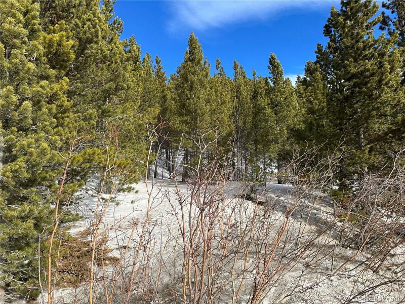 691 Alice Rd, Idaho Springs, CO 80452
